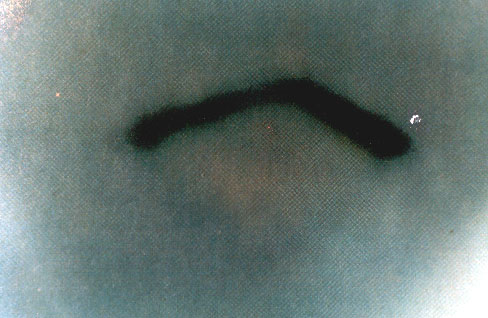 Rys. #11a: Komora oscylacyjna UFO sfotografowana podczas dominacji strumienia wewntrznego